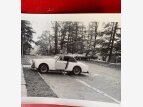 Thumbnail Photo 3 for 1952 Alfa Romeo 1900
